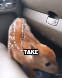 N2311024 Rescue deer trapped by snake_part2