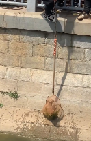 N3011038 Rescue poor dog #pet #dog #pets part2