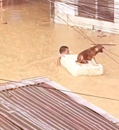 N2511020 No pets shall be left behind kudos sayo kuya!!! #unleashyourpets_part2