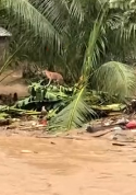 N2511022 Amid flood, humanity still shines. #dogrescue #flood #cebu #tal…_part2
