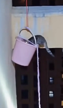 N2611047 Rescued cat stuck on 27th floor.#rescue #cat #fyp #catsoftiktok…_part2