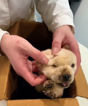 N2311013 You have to watch until end you won believe how badly in…_part2