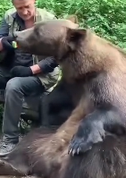 N2811046 Man rescue poor bear electric shock #animals #animalsoftiktok part2