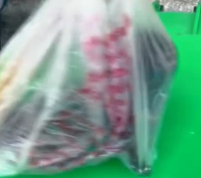 N1112001 Who could bear to throw puppy away Rescue puppy #animal #rescue