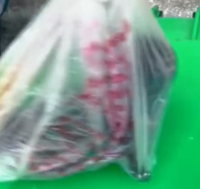 N1112001 Who could bear to throw puppy away Rescue puppy #animal #rescue