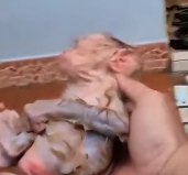 N1212005 found little monkey abandoned in rain.Seeing his pitiful stat…