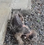 N1512005 A life saved today