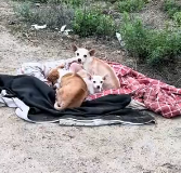 N1512012 whole family has now left our shelter are on their way to an