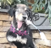 N1612012 He was left on street broken eye jaw