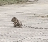 N1912003 On my way home dropping my child off at school, accidentally