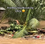 N1912020 Amid flood, humanity still shines. #dogrescue