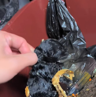 N2012011 We rescued an abandoned puppy in garbage can then #fyp #animal