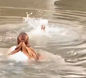 N2012012 rescued small dog thatfell into water, then…#rescue #an…