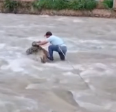 N2112002 After cat was heard meowing middle of overflowing Vizc…