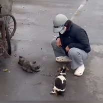 N2412008 Will you recuse those poor puppy if you see #animal #help #save