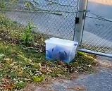 N2412022 Rescue wolf cubs #animal #rescue #rescueanimals #animalsoftiktok