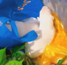 N2612028 lovely animal#animallover #animals #rescueanimals #cute #dog #lovedogs