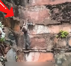 N2912074 found little cat on rainy day.It fell into water.I saved it