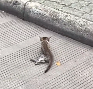 N3012025 Weak but Still Holding On