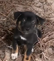 N3012045 while was exercising heard strange noise in nearby warehouse