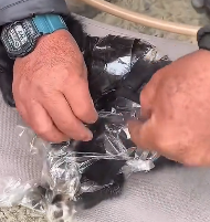 N3012062 Thrown Away Like Trash#dog #rescuedog #poordog #dogsoftiktok #dogvideos