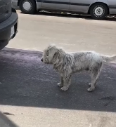 N0512078 He has real home now part2