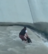 N0512067 Save dog #rescuedog #dog #rescue_part2