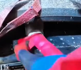 N0512027 Deer mom broke her leg_part2