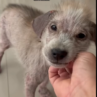 N0801010 She had no idea how much her life was about to change Jen captured