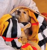 N0801021 It really needs help, are you afraid to open up #animallover #animals