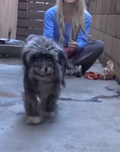 N0801094 Abandoned scared, but as soon as @xoxoloreta blocked Cindy