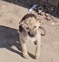 N1501006 From the Streets to a Second Chance at Life