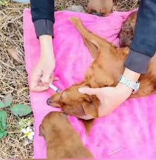 N1801007 An entire family struggling to survive… until help finally came