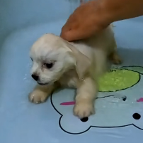 N1801010 One kind heart was all it took to save his life