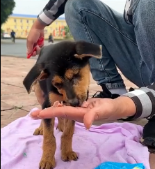 N1801011 If you saw him like this, would you stop… or walk away