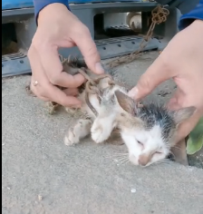 N1801015 Cold, scared, and abandoned… she didn’t know who to trust