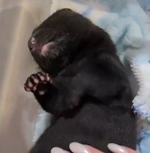 N1801031 Cold, frightened, and desperate for warmth