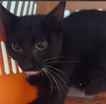 N1801047 One slip from the 10th floor… and her life would be over