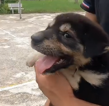 N1801061 The rope tightened every day… and no one noticed his pain