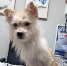 N1801085 Hungry, tired, and forgotten by the world