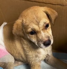 N1801088 Living on the streets taught them fear before love