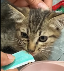 N1801098 Trust didn’t come easy after everything she had been through