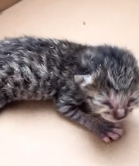 N1801111 Surrounded by people, yet he remains completely alone