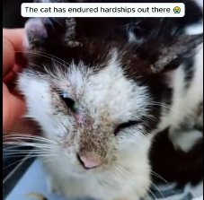 N2201007 Surrounded, Injured, and Running Out of Time