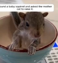 N2201019 The Injury Changed Everything in a Matter of Seconds