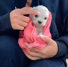 N2201028 Wounded and Helpless — The Next Moment Changed Everything