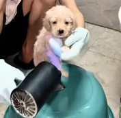 N2201032 Injured, Trapped, and Running Out of Time