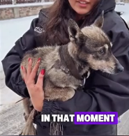 N2201052 An Injured Body, a Hostile World