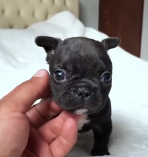 N2201084 Trapped, Hurt, and Crying for Help — What Happened Next