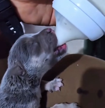 N2201090 Injured, Alone, and Surrounded by Danger